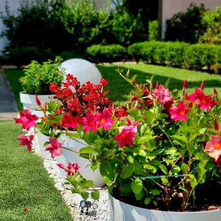La - Convenient For Sardinia And Corsica - 4-5 Beds -private Parking Included With 리보르노